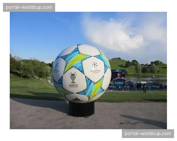 慕尼黑市政府为欧冠决赛周边交通制定详细疏导方案 慕尼黑市政府为欧冠决赛周边交通制定详细疏导方案