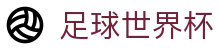足球世界杯 - 世界杯赛事一站式娱乐服务数据平台